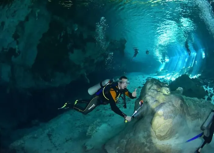 Loft In Cenotes Natural Park *