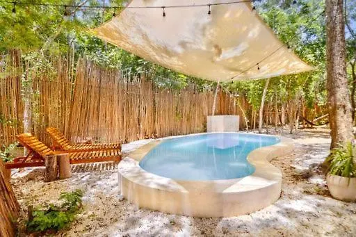 Holiday home Loft In Cenotes Natural Park Tulum